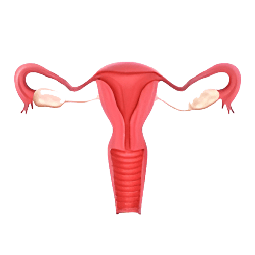 3D Image 3